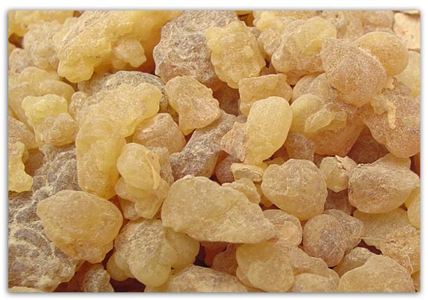 ��������:	hwaml.com_1318973911_542.jpg
���������: 225
��������:	50.8 ��������