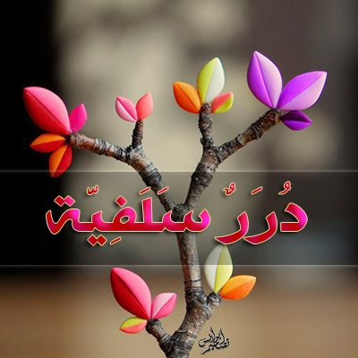 ��������:	401838_463482530392700_1347757882_n.png
���������: 2052
��������:	196.7 ��������