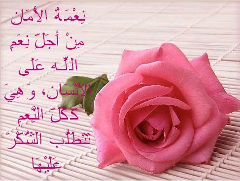 ��������:	45380_351928808249724_1357766681_n.jpg
���������: 305
��������:	43.4 ��������