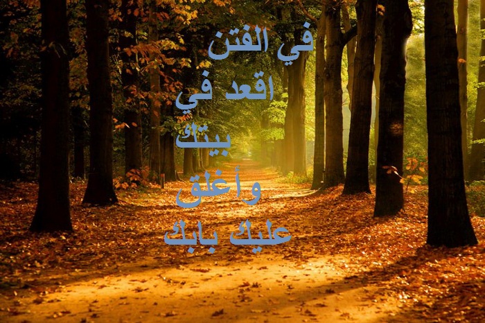 ��������:	awesome-sunshine-trees17.jpg
���������: 1356
��������:	164.4 ��������