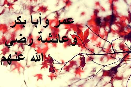 :	y5cci6xiuqu790ukdcbb.jpg
: 1871
:	91.3 