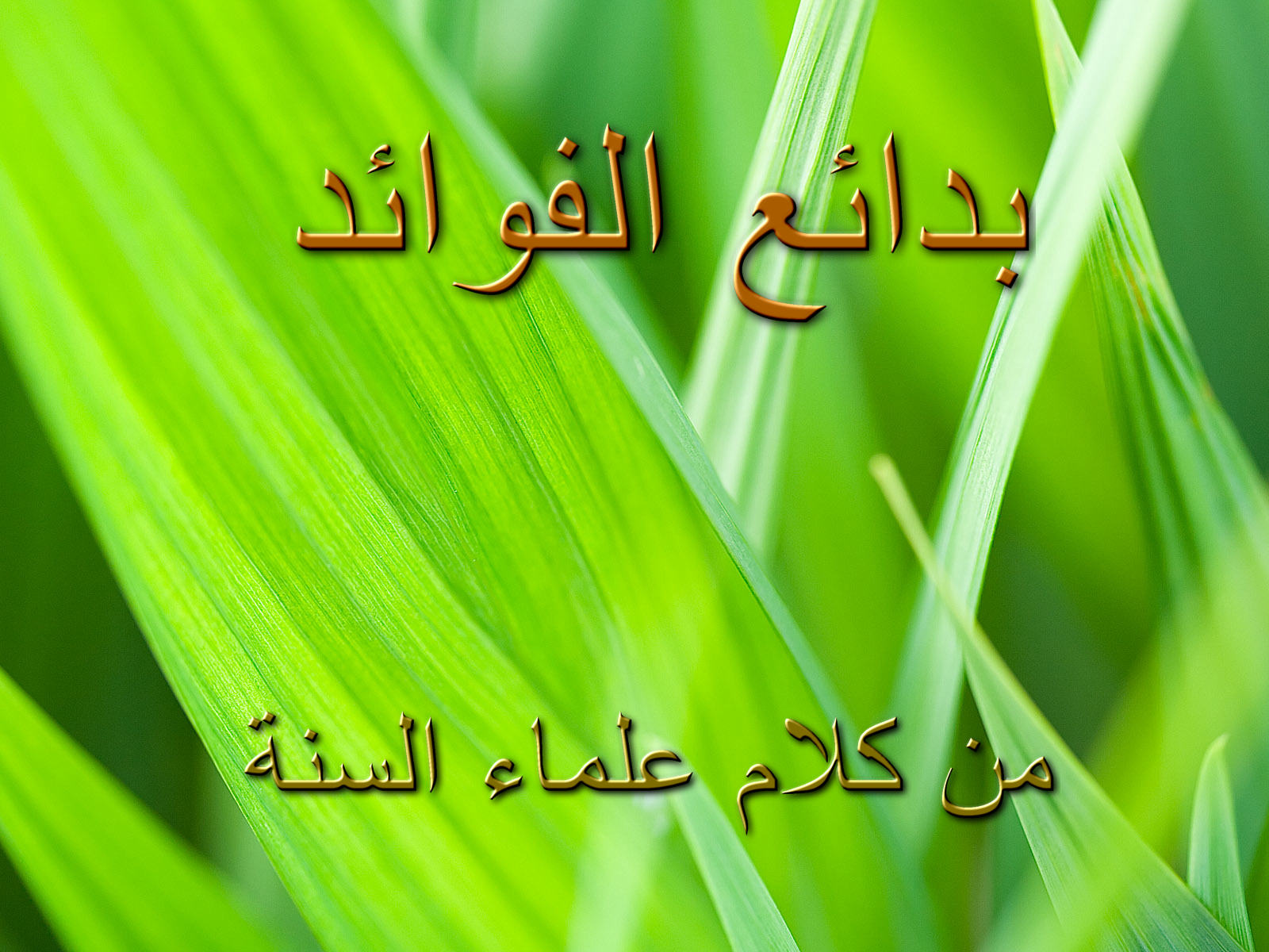 ��������:	attachment.jpg
���������: 221
��������:	264.9 ��������