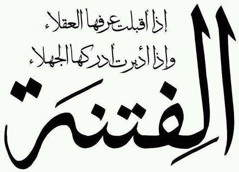 :	1003116_492745704128185_1640981644_n.jpg
: 2186
:	22.6 