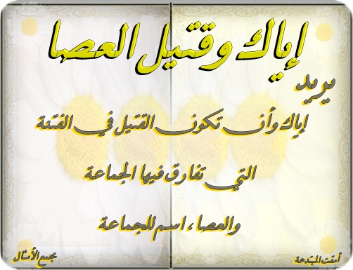 ��������:	���09.jpg
���������: 264
��������:	63.5 ��������