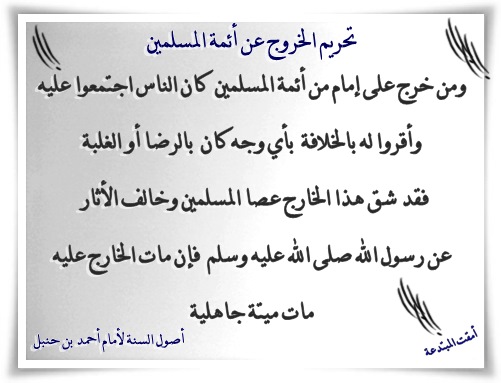 ��������:	������.jpg
���������: 244
��������:	50.5 ��������