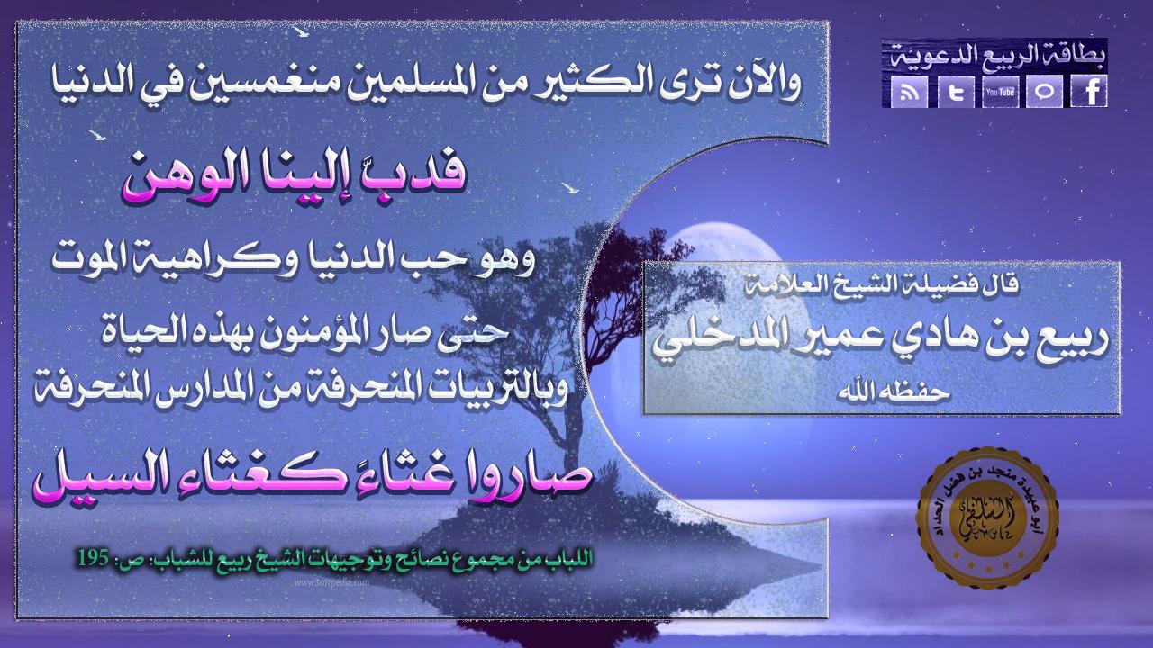 :	1040115_194233764068011_2141467820_o.jpg
: 2194
:	156.8 