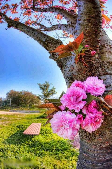 ��������:	600311_263008347174815_1820541263_n.jpg
���������: 971
��������:	73.3 ��������