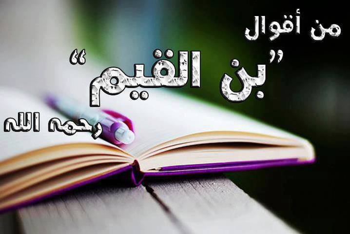 ��������:	539086_578191418905893_1455554631_n.jpg
���������: 3176
��������:	37.2 ��������