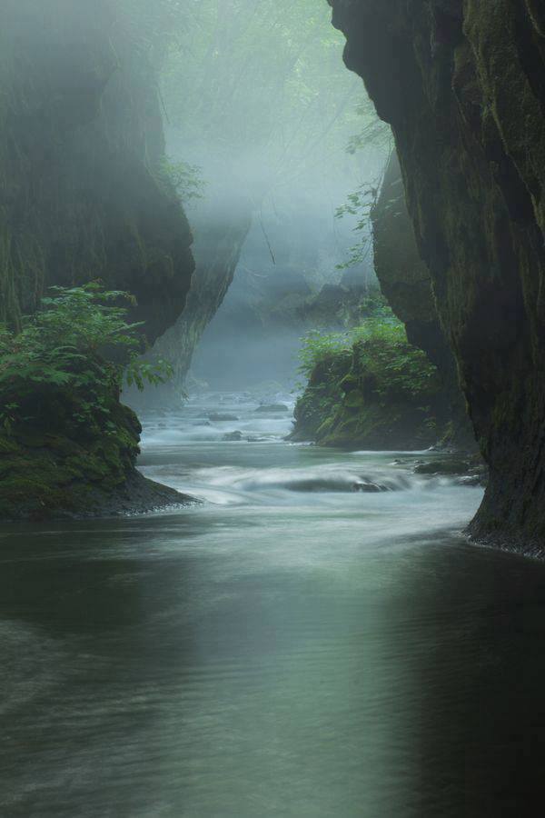 ��������:	1186099_543089222411710_200134825_n.jpg
���������: 3604
��������:	42.3 ��������