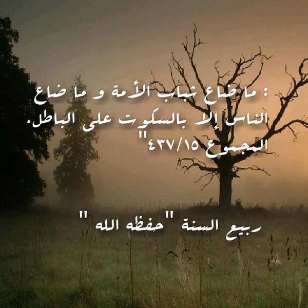 ��������:	531920_528376507231771_229307701_n.jpg
���������: 203
��������:	43.6 ��������