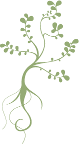 ��������:	21125.png
���������: 7194
��������:	8.5 ��������