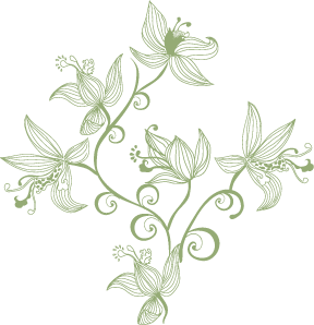 ��������:	21127.png
���������: 7181
��������:	26.4 ��������