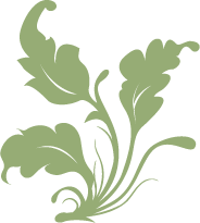 ��������:	21121.png
���������: 8109
��������:	7.3 ��������