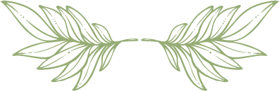 ��������:	21124.png
���������: 7991
��������:	15.2 ��������