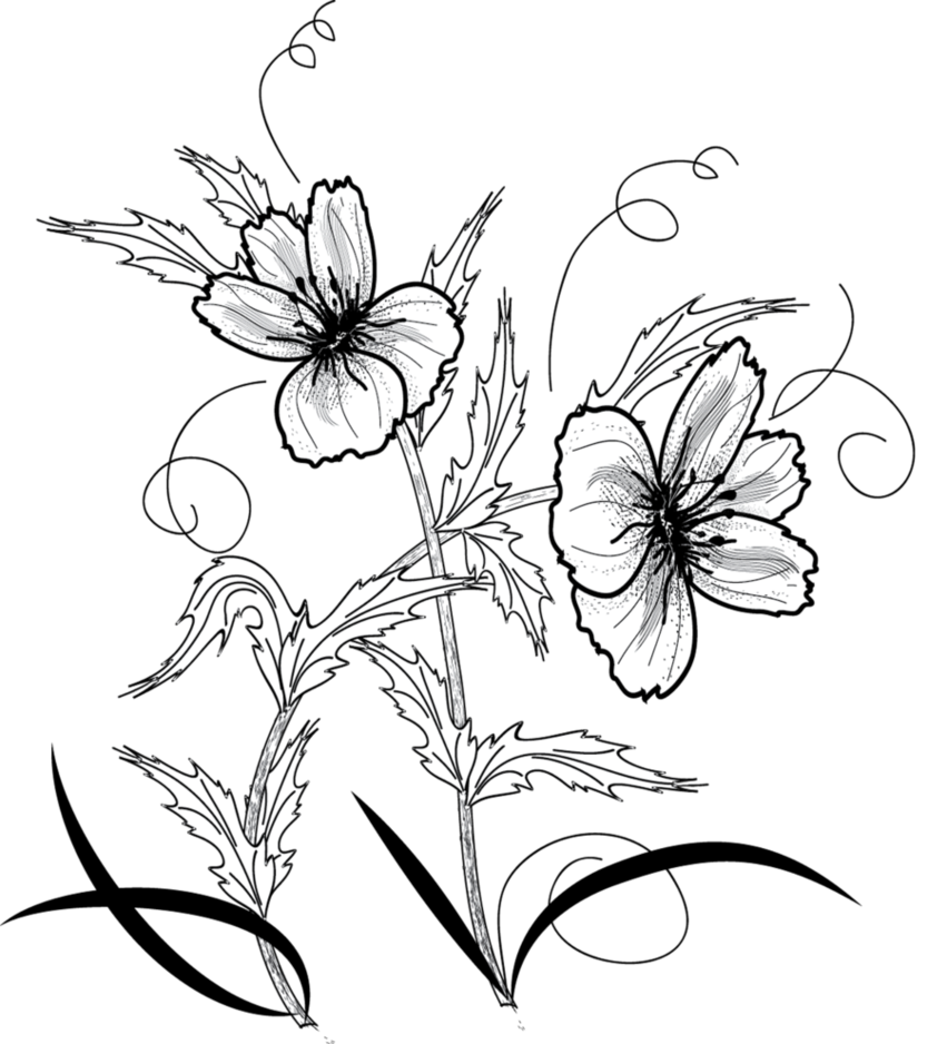 ��������:	315912.png
���������: 14681
��������:	441.5 ��������