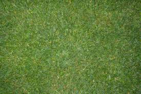 ��������:	images (11).jpg
���������: 944
��������:	11.1 ��������