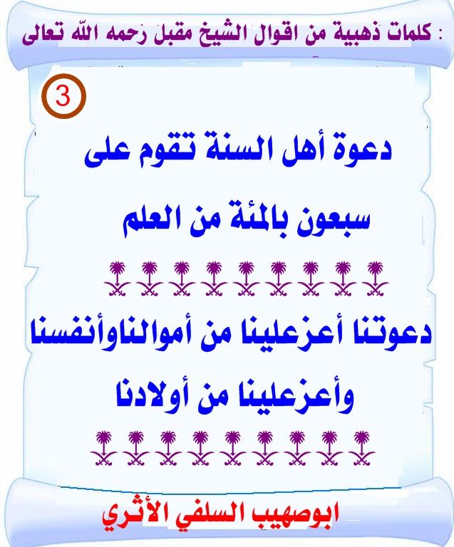 :	8g3L6H.jpg
: 2036
:	146.6 